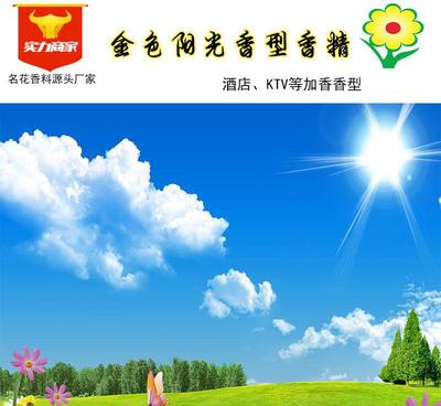 金色阳光香精 2016年酒店与KTV空间的实力加香解决方案